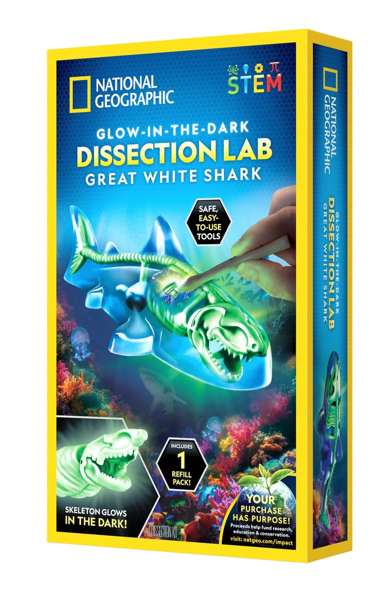 National Geographic Glow-In-The-Dark Shark Lab