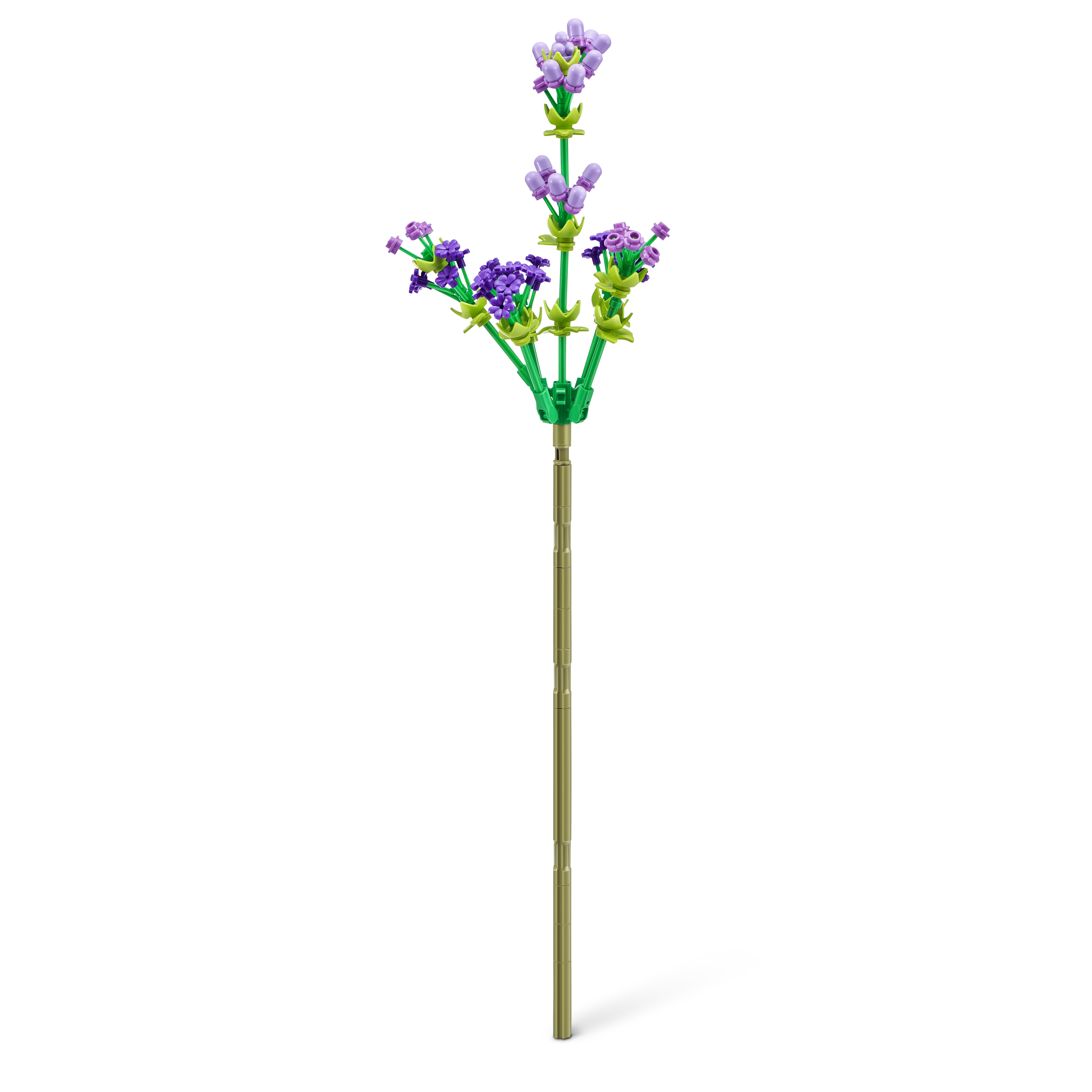 ZURU Max, Rose Collection Series 1