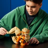 LEGO® Pokémon 72160 Arcanine, Samlarfigur för Vuxna