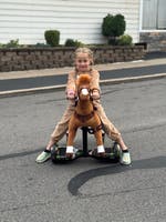 Power Pony Champ Leksaksponny