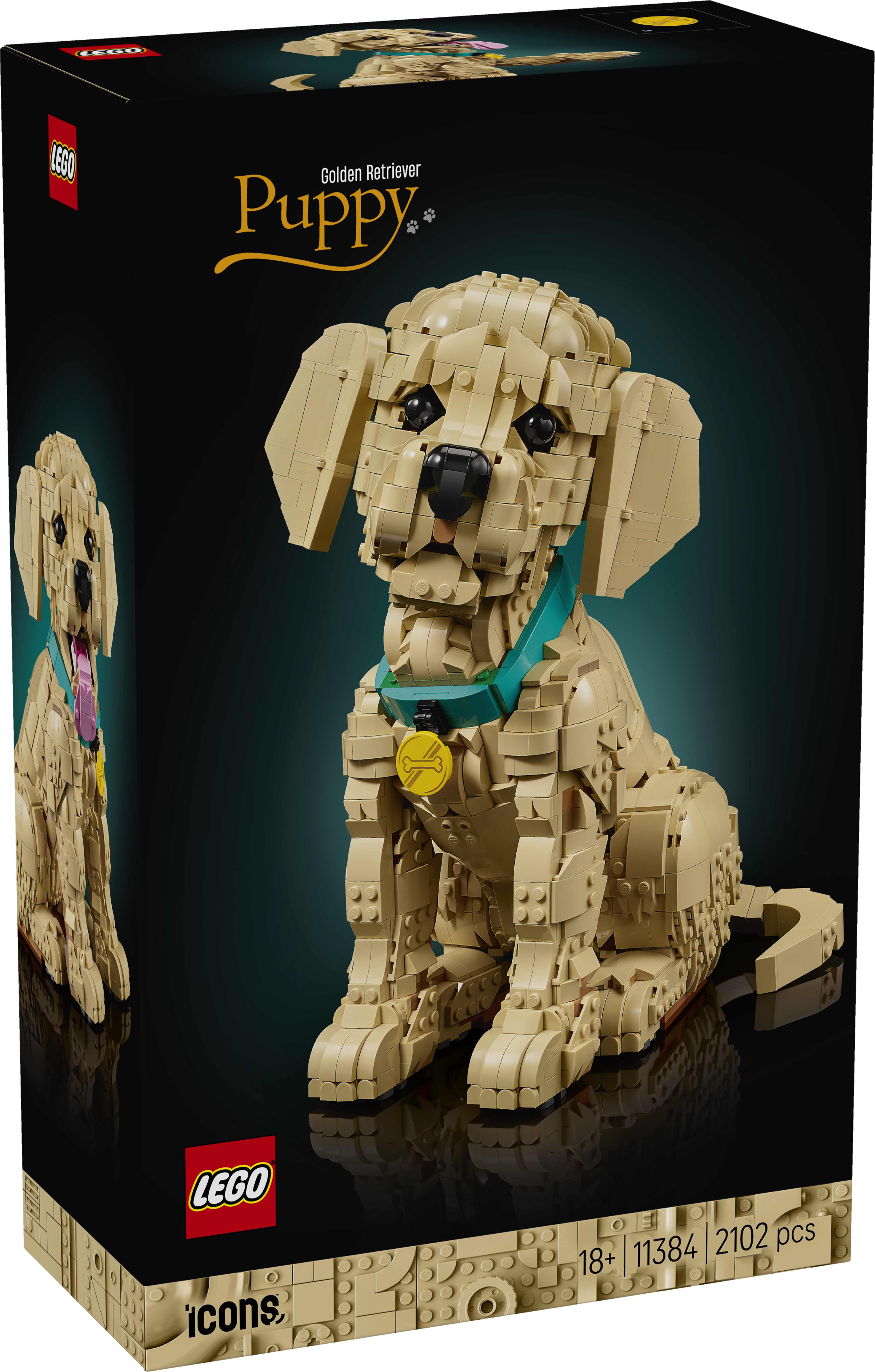 LEGO® Icons Golden retriever-valp – Bygg- och heminredningsset med djurfigur för vuxna – 11384