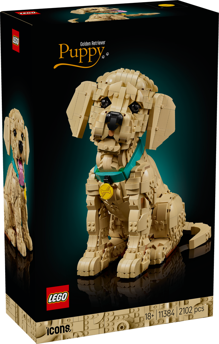 LEGO® Icons Golden retriever-valp – Bygg- och heminredningsset med djurfigur för vuxna – 11384