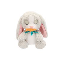 Baby Paws Bunny gosedjur med ljud och napp