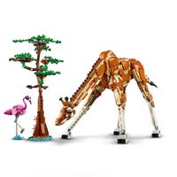LEGO Creator 31150, Vilda safaridjur
