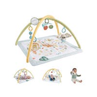 Fisher Price, Sensimals Simply Senses Newborn Gym