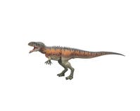 Animal Life, Tyrannosaurus Rex stor