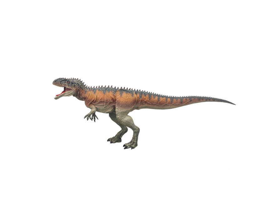 Animal Life, Tyrannosaurus Rex stor