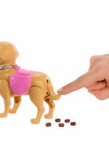 Barbie Walk & Potty Pup med docka och gående valp