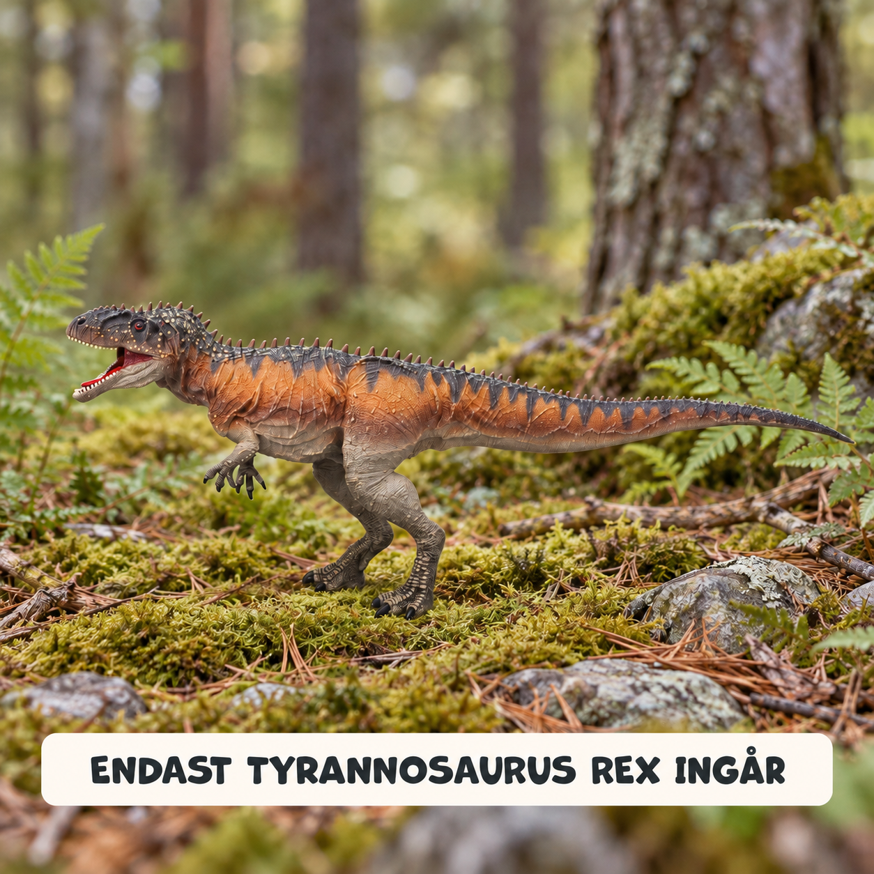 Animal Life, Tyrannosaurus Rex stor