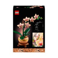 LEGO® Botanicals Miniorkidé 10343
