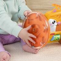 Fisher Price Pets Crawl & Play Spegel