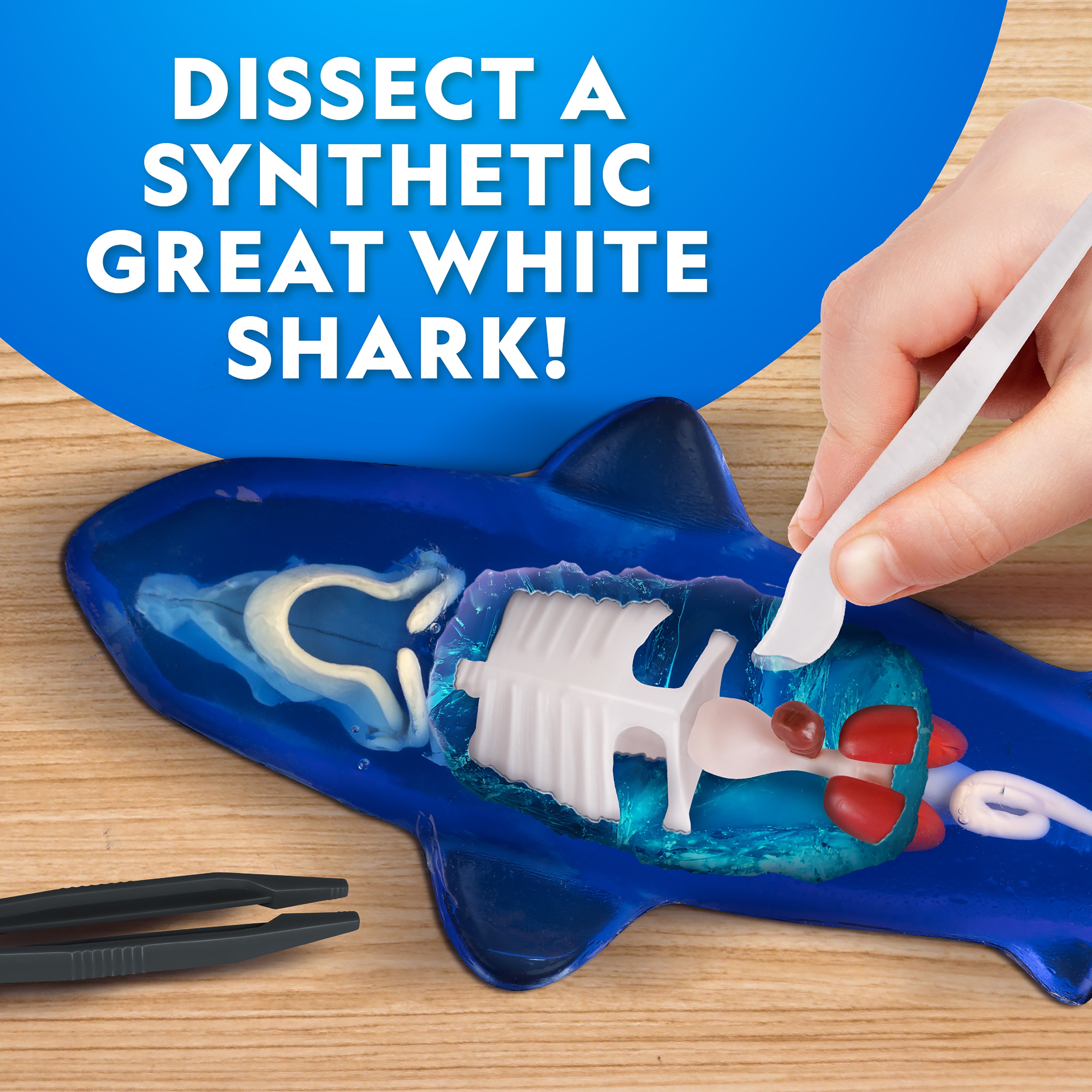 National Geographic Glow-In-The-Dark Shark Lab