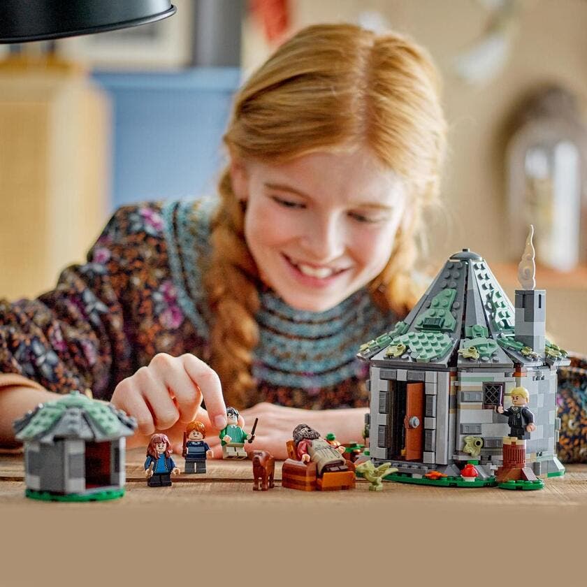 LEGO 76428, Hagrids stuga: Ett oväntat besök