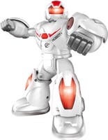 Hi-Tech, Robot 22 cm