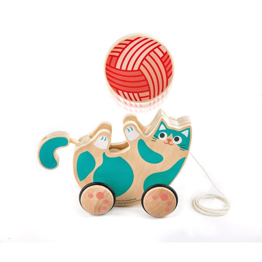 Hape, rulla och skallra kattunge