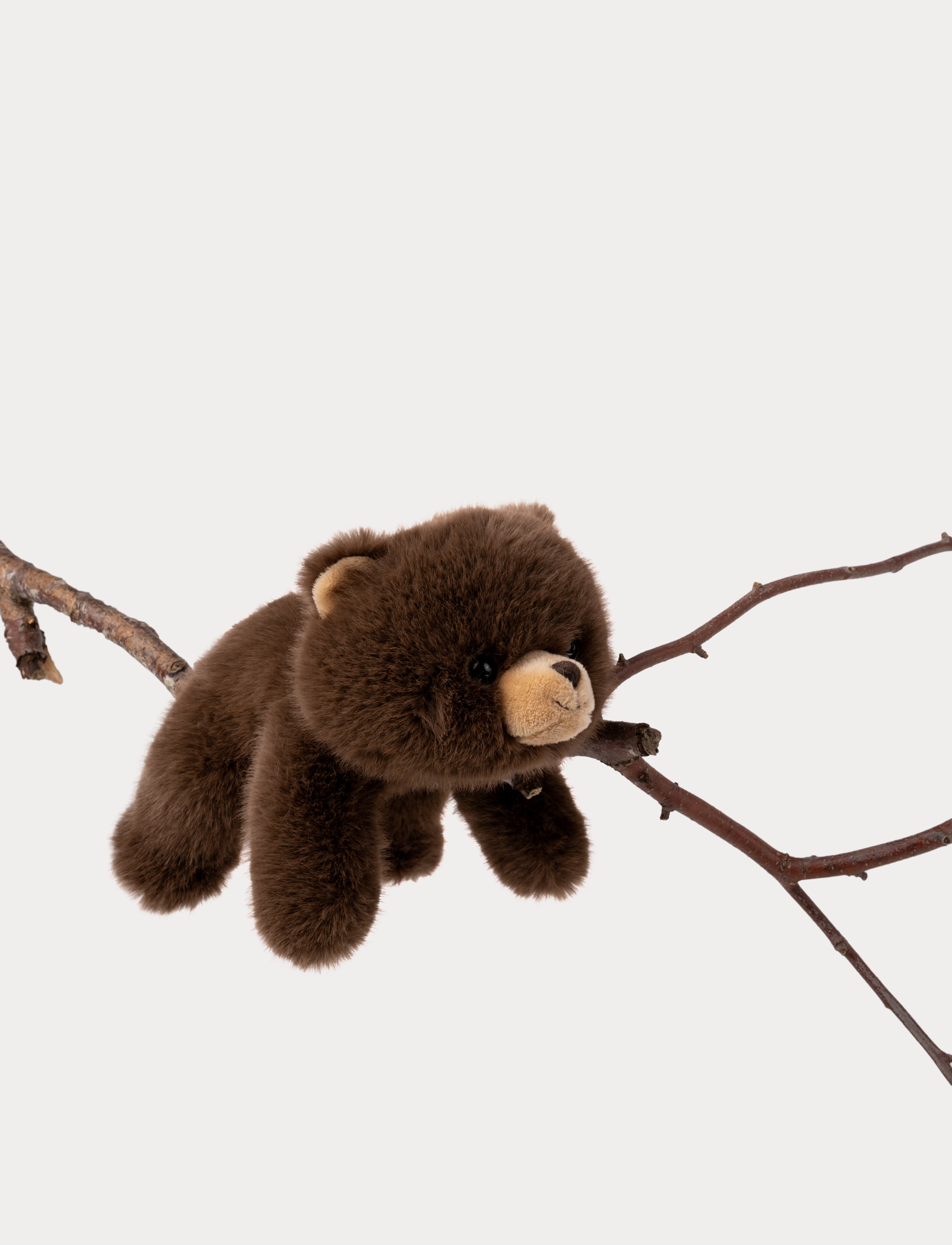 Teddykompaniet - Liggande Björn, Brun