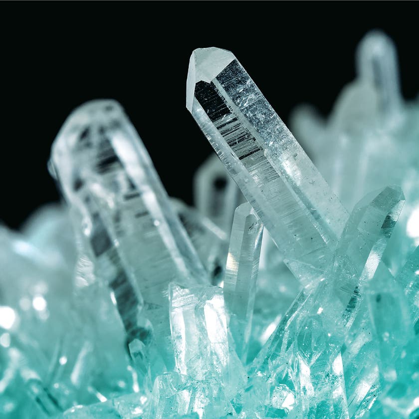 Discovery - Growing kit