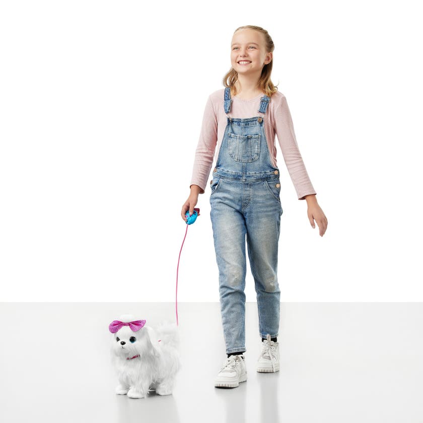 Pets Alive, Walking Puppy