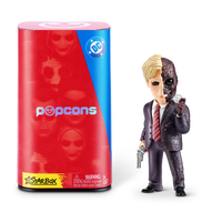 Star Box - Popcons WB DC Heroes & Villians Blind Box