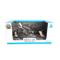 Animal Life, Haj och sälar