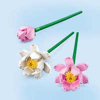 LEGO Botanicals 40647, Lotusblommor
