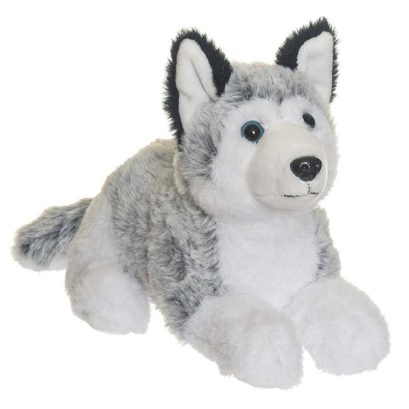 Teddykompaniet, Husky