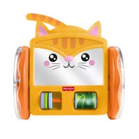 Fisher Price Pets Crawl & Play Spegel