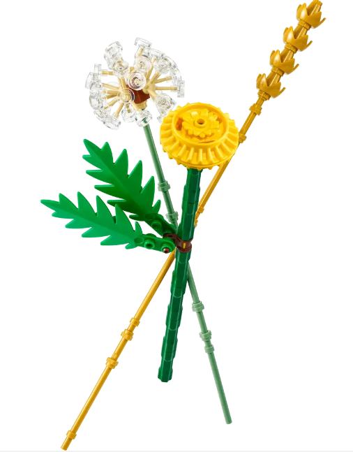 LEGO Recruitment Bags 30701, Ängsblommor