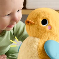 Fisher-Price 4-i-1 Kram och Kryp-anka
