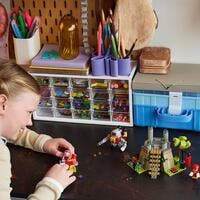 LEGO Sonic the Hedgehog 76998, Knuckles och Master Emerald-helgedomen