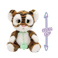 Baby Paws Tiger med snuttefilt och napp
