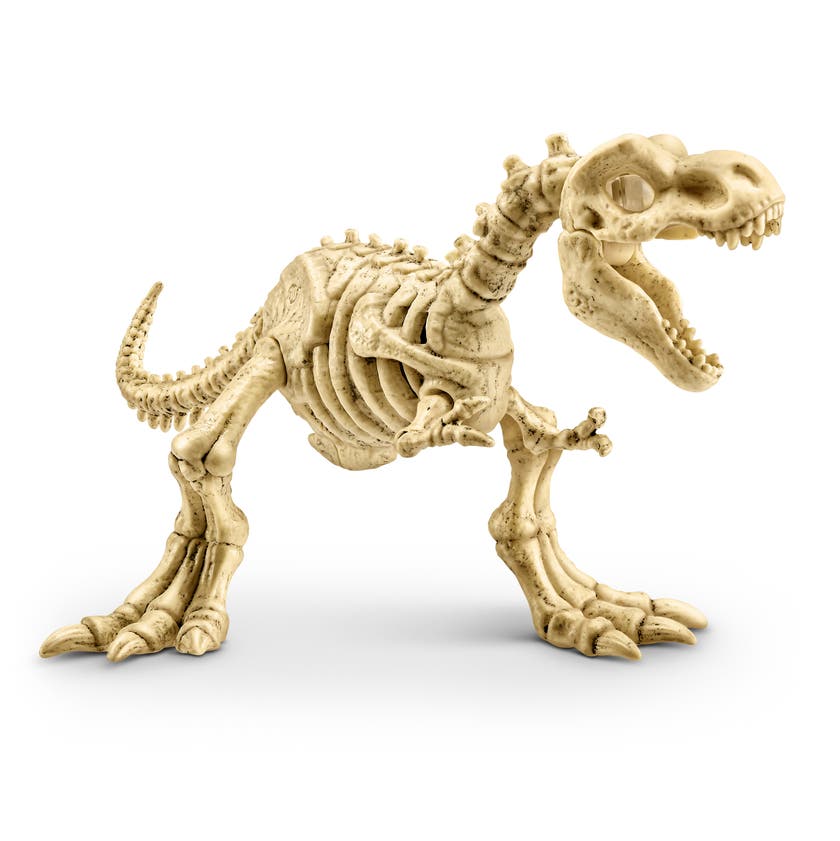 Robo Alive Amber Fossil Find Adventure
