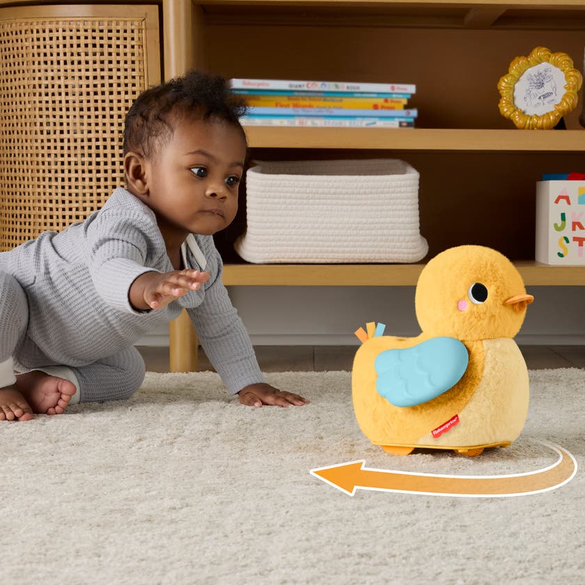 Fisher-Price 4-i-1 Kram och Kryp-anka