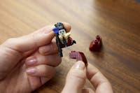 LEGO® Icons Mayor Manor 11383