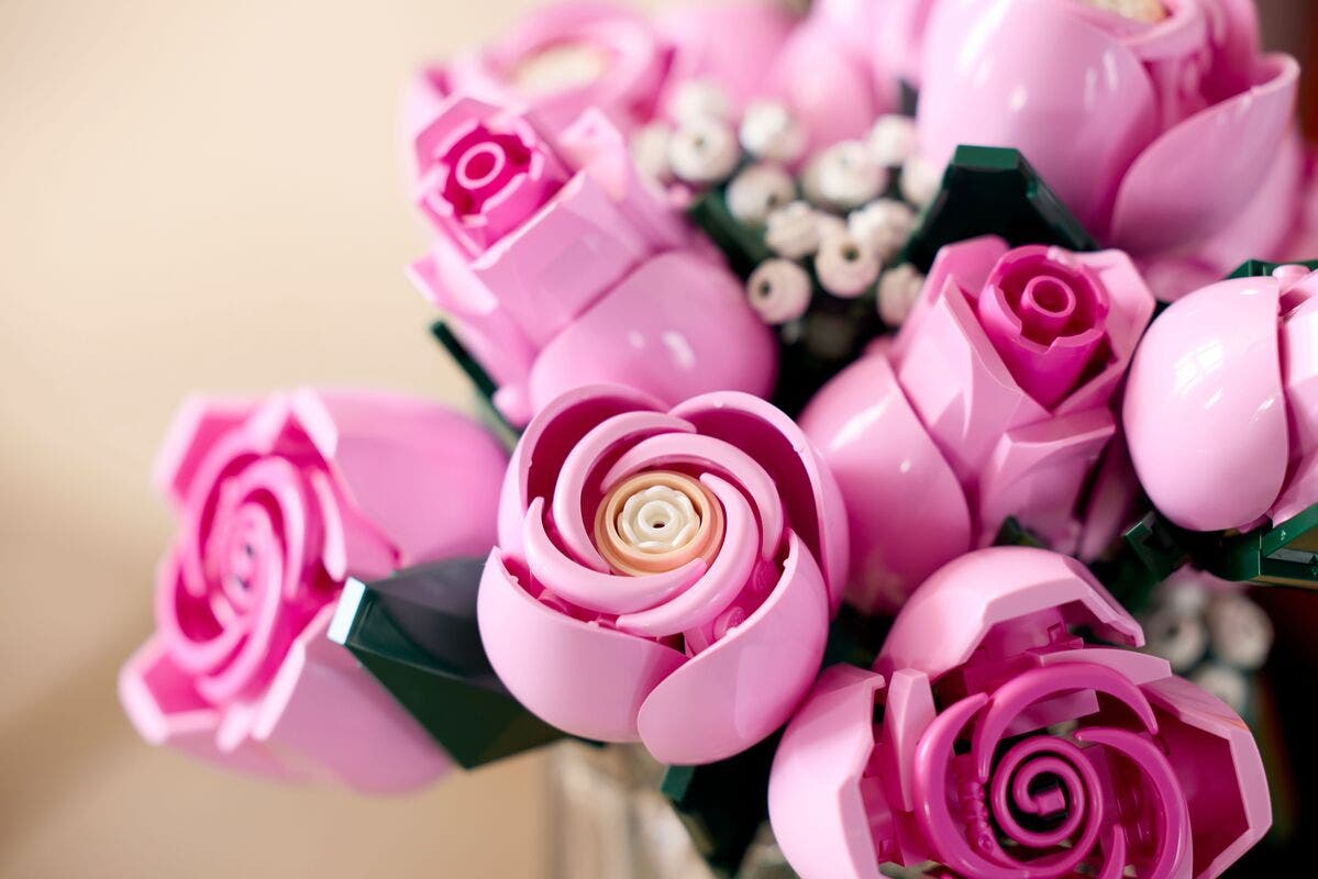 LEGO Botanicals Rosa rosor
