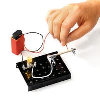 Alga, 101 Experiment