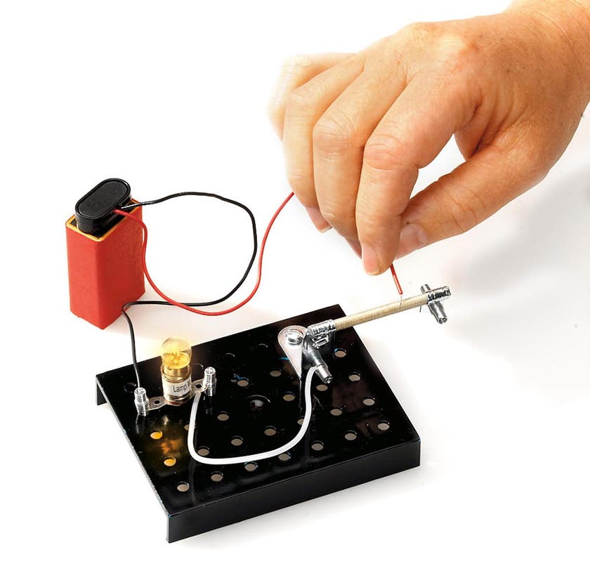 Alga, 101 Experiment