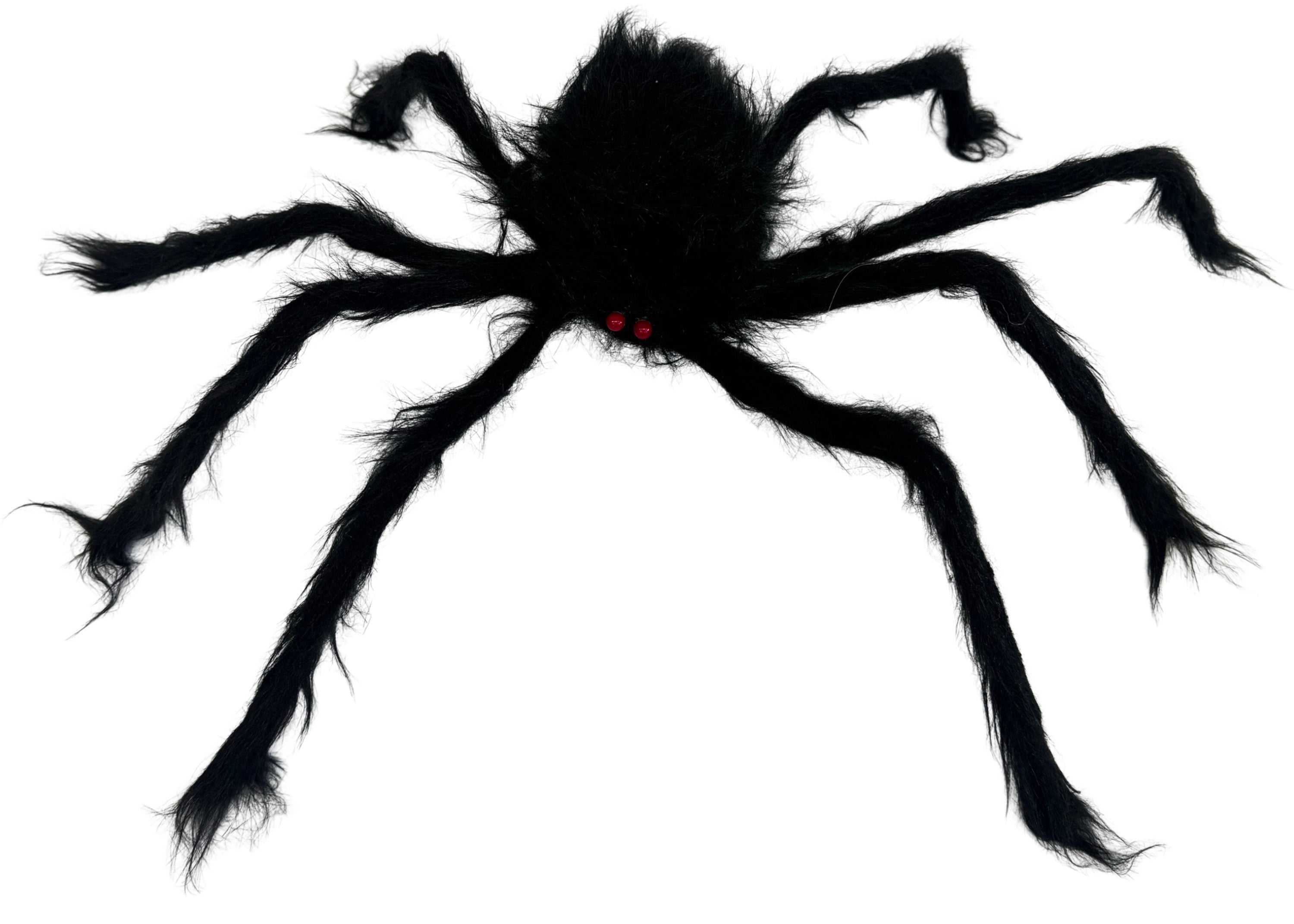 Halloween, Hairy Giant Spider
