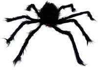 Halloween, Hairy Giant Spider