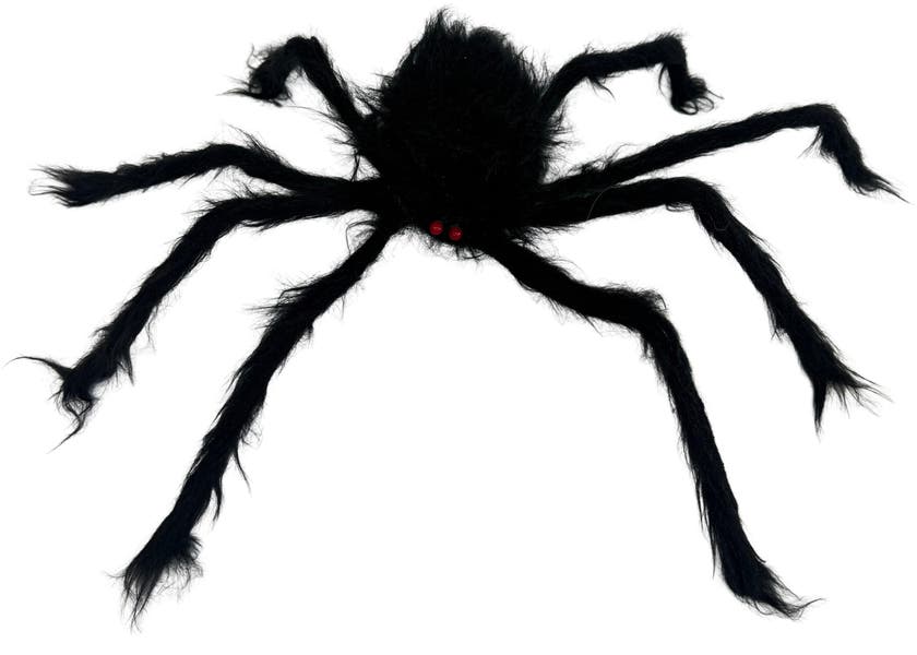 Halloween, Hairy Giant Spider