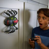 HEX BOTS Wall Crawler Spider