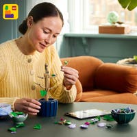 LEGO Botanicals 10372, Hibiskus