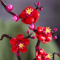 LEGO® Botanicals Plommonblomma 10369