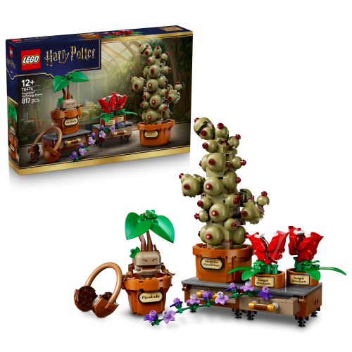LEGO® Harry Potter™ Hogwarts™ växter för örtlära Set 76474