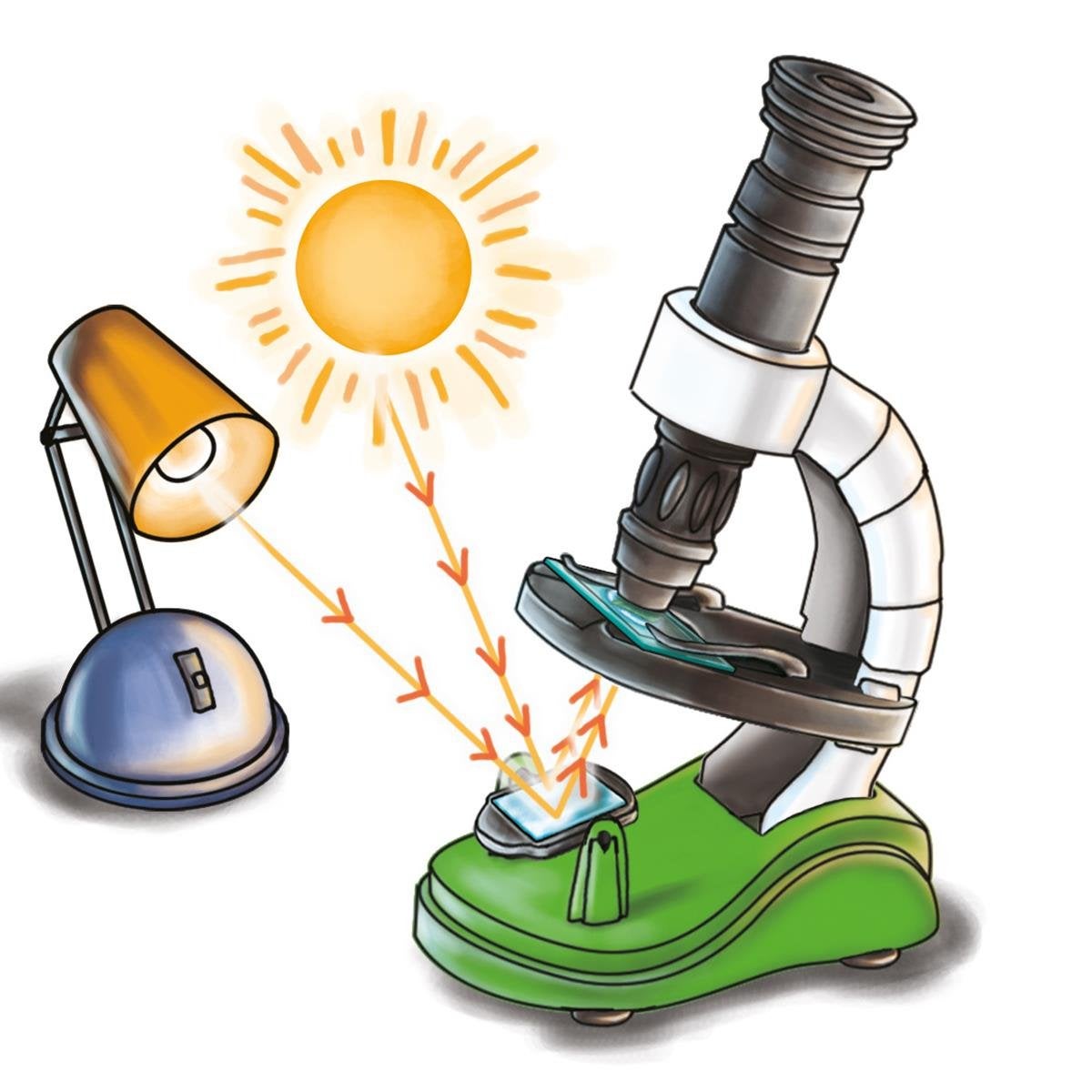 Science & Play, Upptäck med Mikroskop