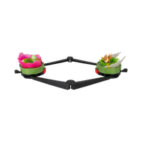 Pokémon Battle Disc Showdown Eevee vs Ralts