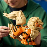 LEGO® Pokémon 72160 Arcanine, Samlarfigur för Vuxna