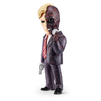 Star Box - Popcons WB DC Heroes & Villians Blind Box