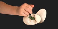 National Geographic Ultimate Dinosaur Dig Kit
