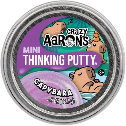 Crazy Aaron Thinking Putty Mini